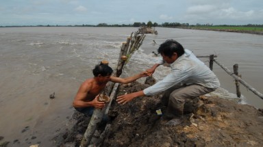 Lũ dâng cao vỡ đê, 4.000 ha lúa bị mất trắng 