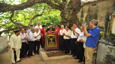  Cây đại bên bờ sông Đuống được công nhận Cây Di sản Việt Nam