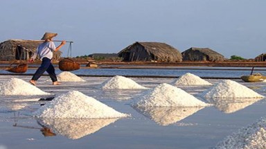 Công bố nhãn hiệu muối Sa Huỳnh