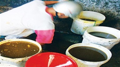 Chế biến thực phẩm bằng dầu phế thải
