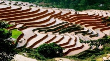  Ruộng bậc thang Hoàng Su Phì nhận Bằng Di tích quốc gia