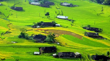  Qua đèo vượt dốc đến Bản Phùng ngắm lúa thu