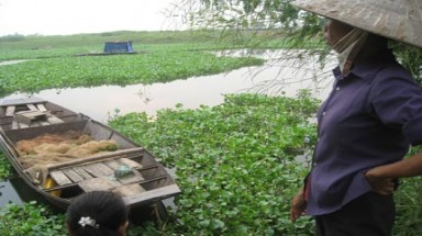  Xin gửi vòng hoa trắng