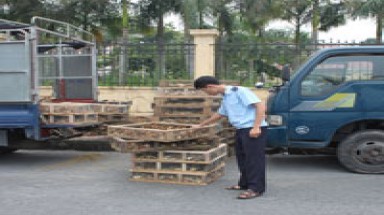  Gà lậu Trung Quốc lại tràn vào Việt Nam