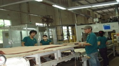  Lập biên bản một công ty nghi xả nước thải gây ô nhiễm