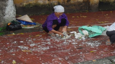  Thương chim cò quá !
