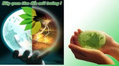  Phát triển cần gắn với môi trường