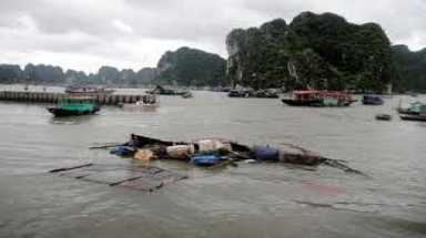  Bão gây gió giật cấp 10 - 11 ở Quảng Ninh 