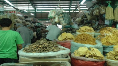 Măng khô, tươi: Đầy chất độc