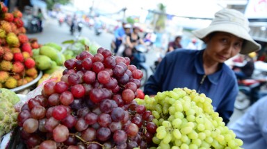  Bất an với nho, lựu... Trung Quốc