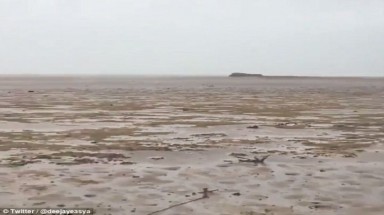  Bão Irma rút cạn nước biển, hiện tượng kỳ quái hiếm thấy