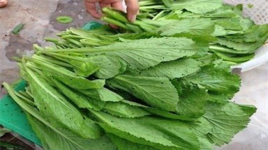  Rau cằn, có vết sâu cắn đã phải là rau sạch?