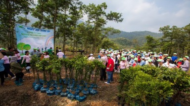 Sôi nổi ngày hội môi trường Quảng Ngãi năm 2017 