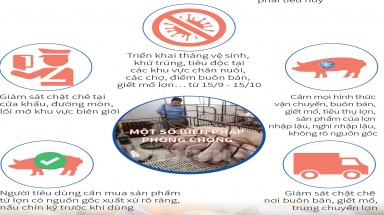 Đồ hoạ:Dịch bệnh tả lợn châu Phi không có khả năng lây truyền sang người