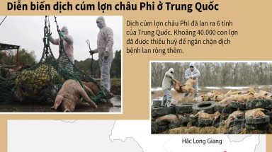Đồ hoạ:Diễn biến dịch cúm lợn châu Phi ở Trung Quốc