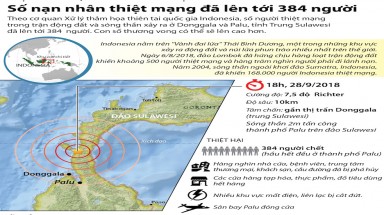  Đồ hoa: Động đất, sóng thần tại Indonesia, số nạn nhân thiệt mạng đã lên tới 384 người