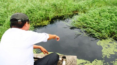   Hưng Yên: Nhà máy xả trộm nước thải, người dân hứng khổ