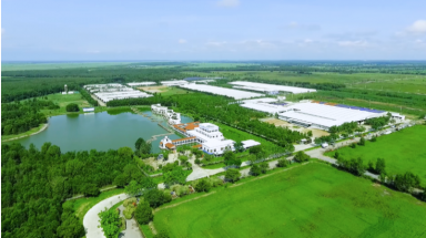 Vinamilk ghi tên "Sữa Việt" trên bảng xếp hạng toàn cầu về giá trị và sức mạnh thương hiệu