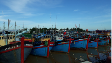  Triển khai các biện pháp cấp bách phòng chống cơn bão số 4 tại Ninh Thuận