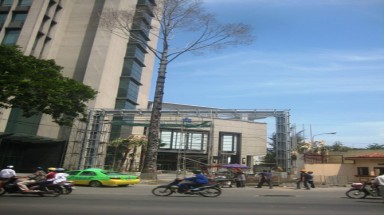  Bức tử cây xanh ở thành phố Hồ Chí Minh