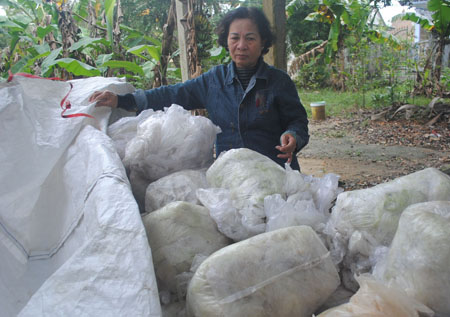  Bà cụ nhặt rác và 200 triệu giúp... người dưng