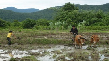  Điều tra vụ chiếm đất công ở Ninh Thuận