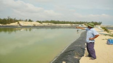  Làm trang trại trên đồi cát trắng 