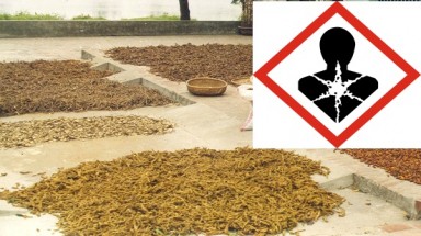    Dược liệu nhập khẩu: Có chất gây ung thư!