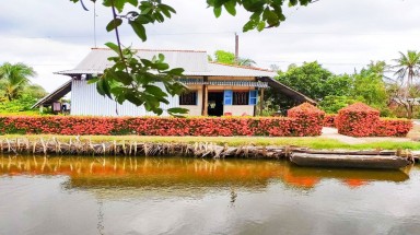  "Độc nhất" miền Tây: Hàng rào bông trang đỏ rực vùng miệt thứ