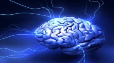  Sự thông minh của con người đã đến giới hạn?