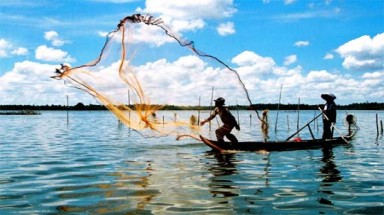  Giảm rủi ro thiên tai và các mối đe dọa của biến đổi khí hậu 