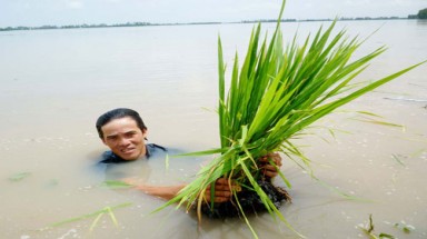  Miền Tây vật lộn với cơn lũ lịch sử