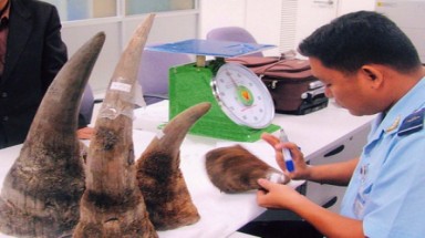  “Không thấy tên Trầm Bê trong danh sách nhập sừng tê giác”