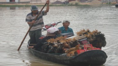  Bình Định: nhiều nơi vẫn bị nước cô lập 