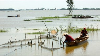  Lũ trên sông Cửu Long tiếp tục lên 