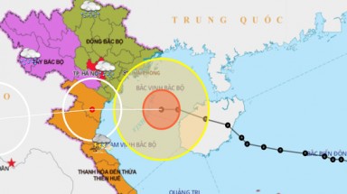 Tâm bão số 7 ngay trên vịnh Bắc Bộ, sóng lớn, nước dâng