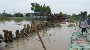 Lũ lụt, lúa và đê bao ở ĐBSCL 