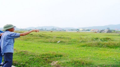  Vào khu công nghiệp... chăn bò