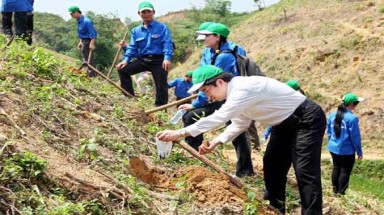 Nhiệm vụ trồng rừng năm 2012 là 250.000 ha