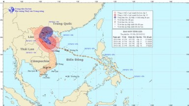  Bão số 8 cách bờ biển các tỉnh Nghệ An – Quảng Bình khoảng 140 km