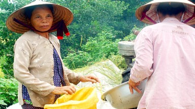  Miền Trung mùa lũ: Lúa đầy nhà, vẫn lo đói