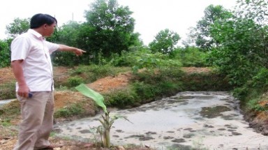  Xử lý kiên quyết doanh nghiệp gây ô nhiễm môi trường 