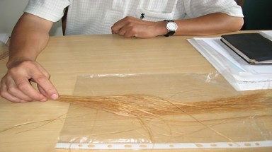 Vật liệu nhựa thân thiện môi trường thay thế túi ni-lông 