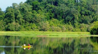   Chúng tôi không muốn mất rừng!