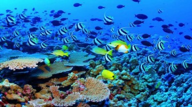  Công bố thủ tục hành chính bị bãi bỏ trong lĩnh vực môi trường và lĩnh vực tài nguyên nước