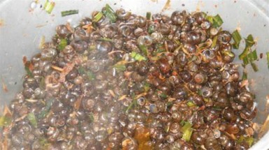  Ốc Hương An