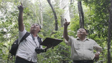  Phá rừng phòng hộ làm nhà máy xi măng