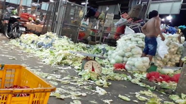  Gom rác làm… cải bắc thảo