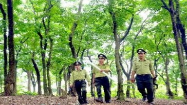  Cân nhắc "đóng cửa rừng" trên phạm vi toàn quốc