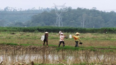 Săn dế mèn mùa lũ